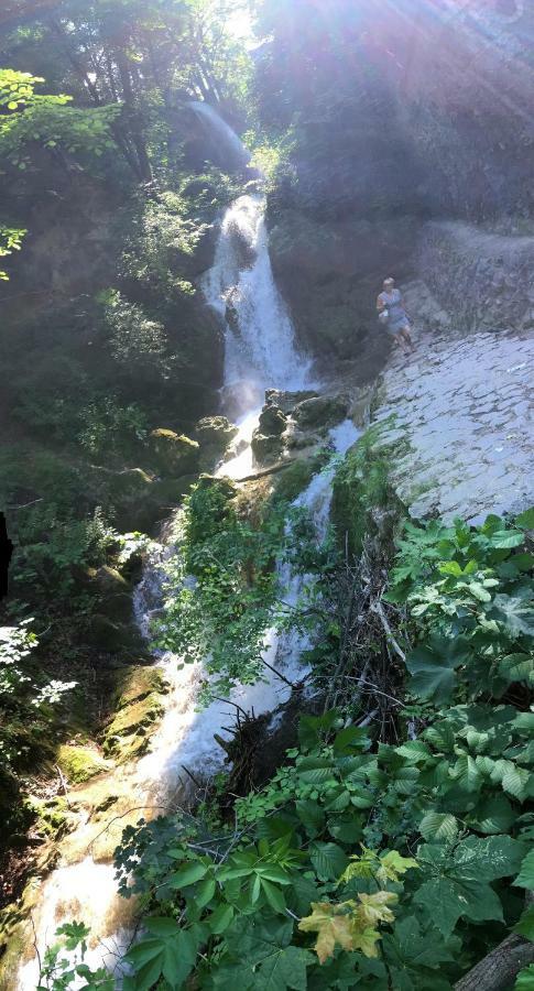 Mse Apartman Miskolc Dış mekan fotoğraf